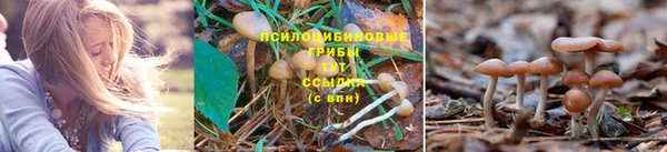 первитин Абаза