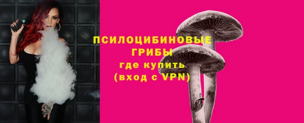 молекула духа Алзамай
