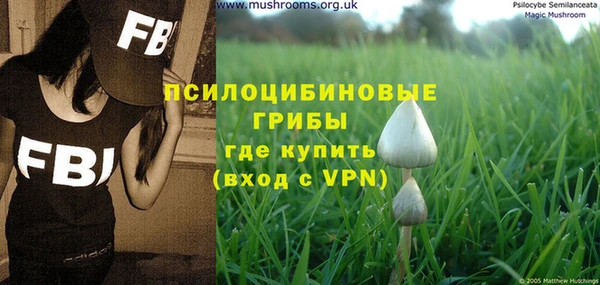 Альфа ПВП Алексин