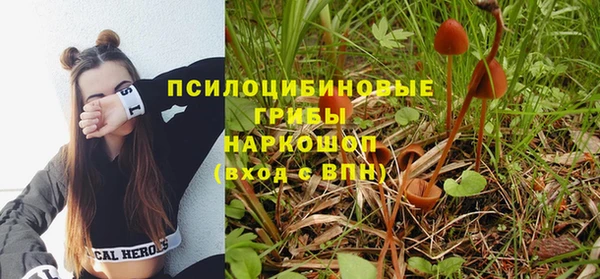 молекула духа Алзамай