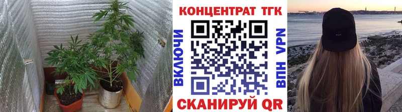 Дистиллят ТГК концентрат  Западная Двина 