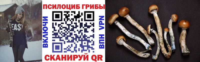 Псилоцибиновые грибы мицелий  купить   Западная Двина 
